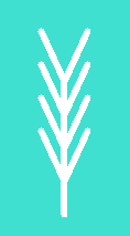 snow flake branch