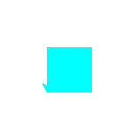 turtle square