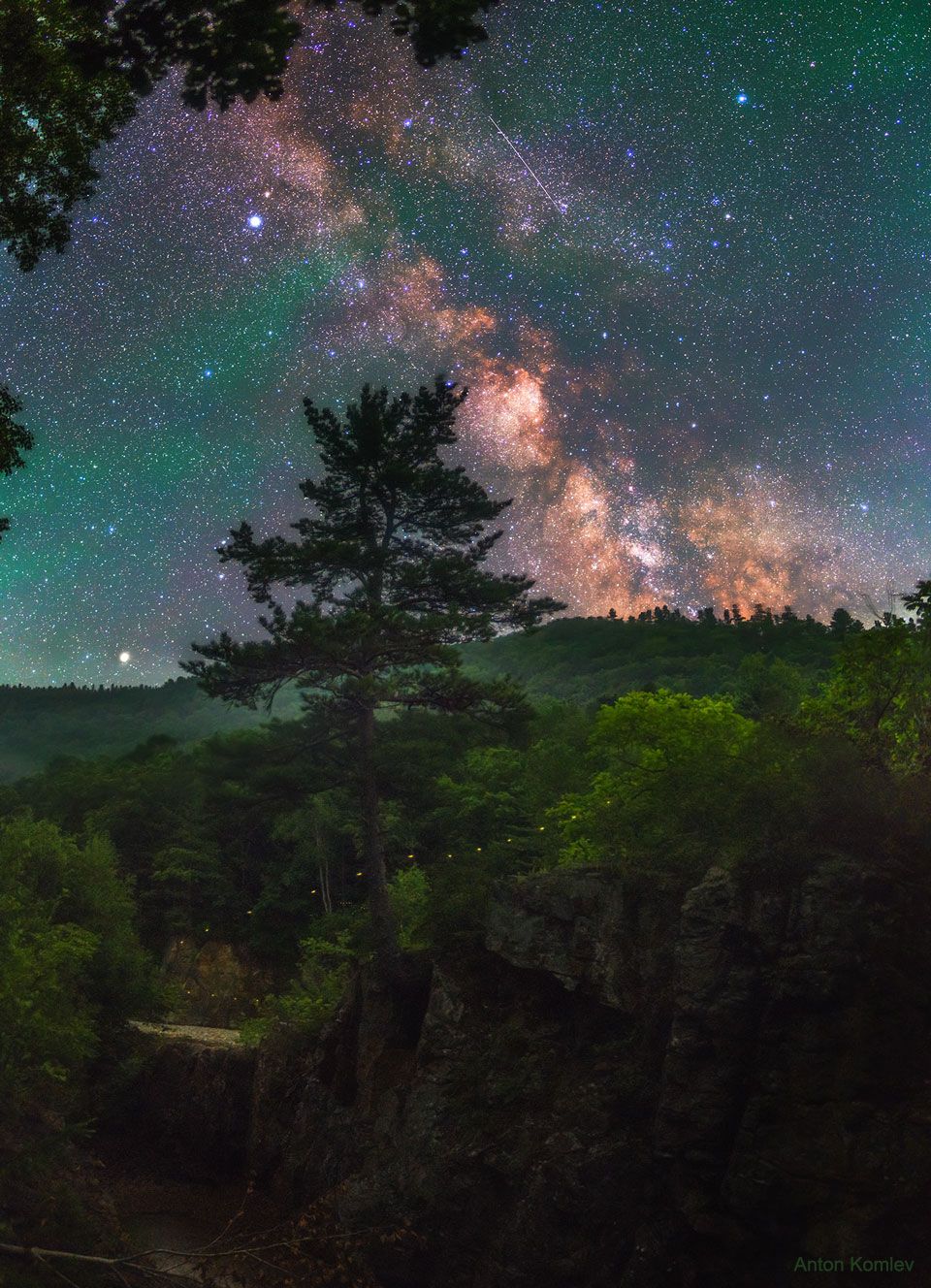 FireFlyMilkyWay_Komlev_960.jpg