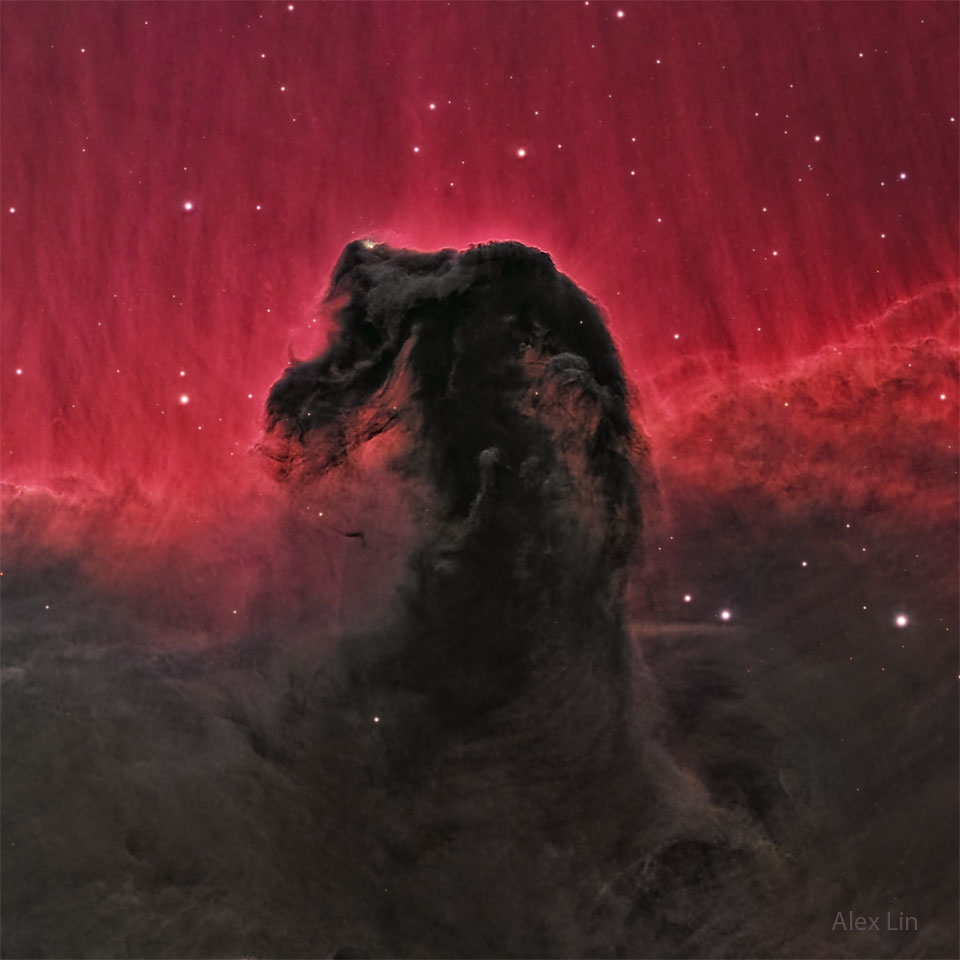 Horsehead_Lin_960.jpg