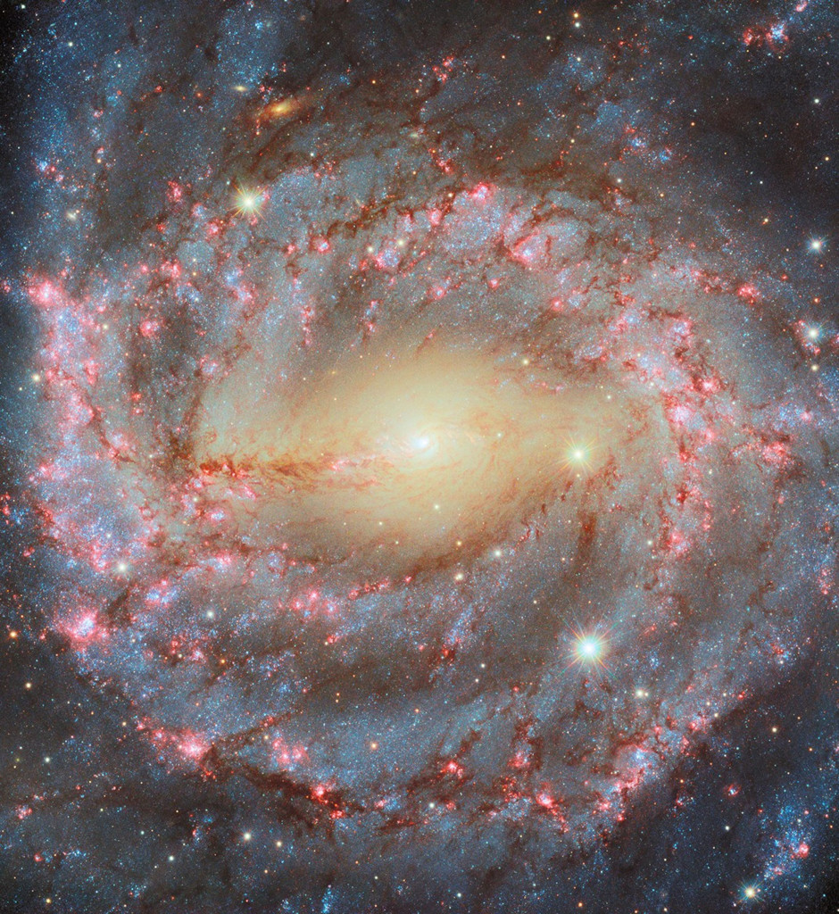 Hubble_NGC5643_potw2450a1024.jpg