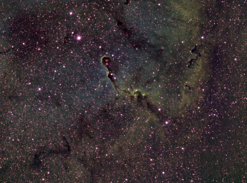 IC1396crop800_gphaynes.jpg