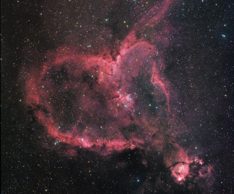 IC1805_Daniel_rc800.jpg