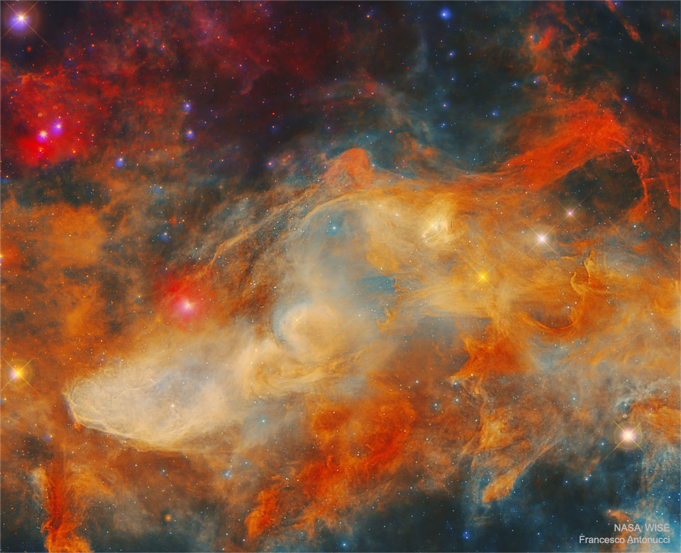IC4592_WiseAntonucciR_960.jpg