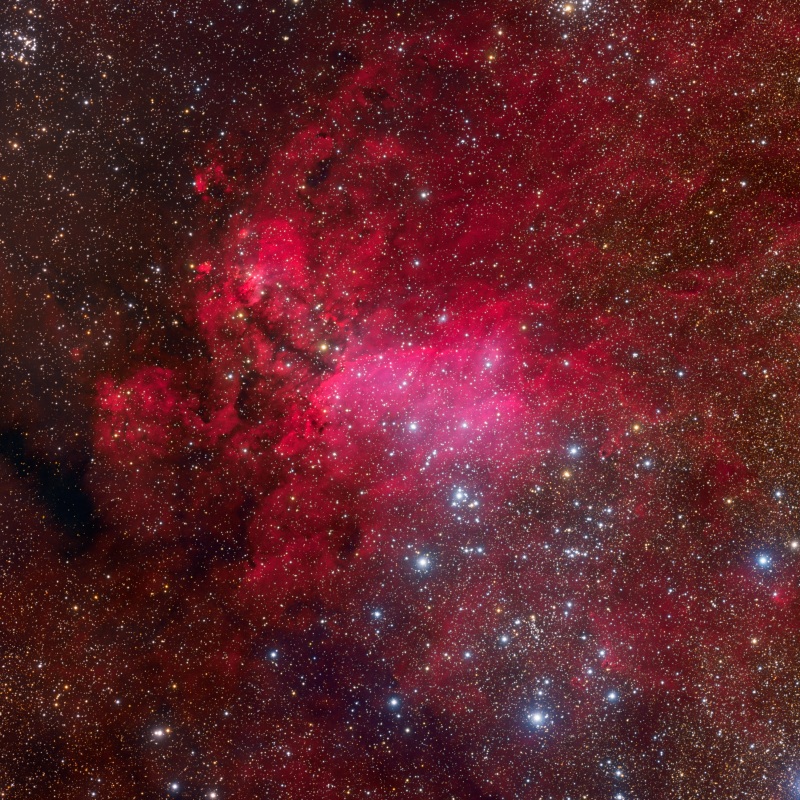 IC4628HaRGB_Lorenzi800.jpg