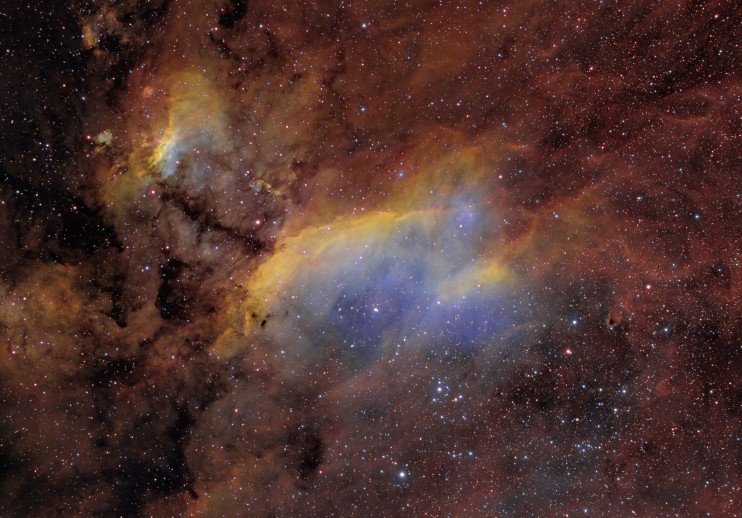 IC4628NB_pugh_c35.jpg