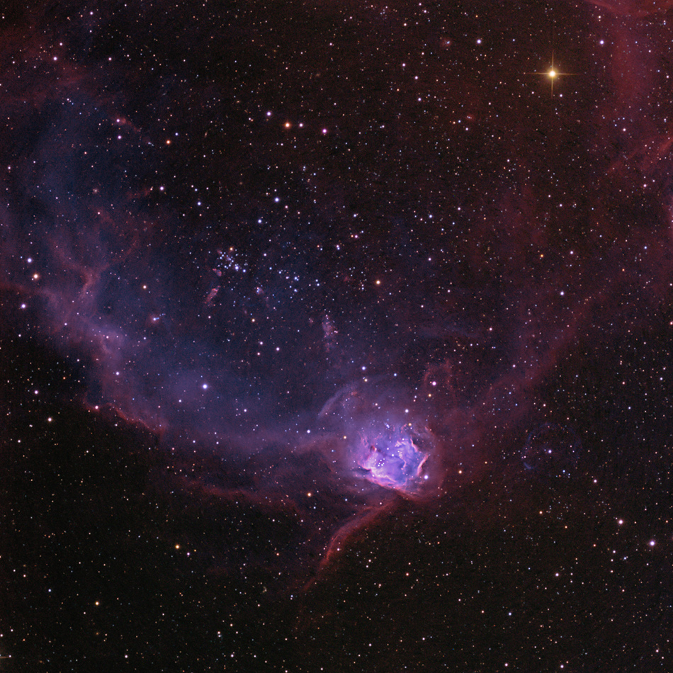NGC602Web_goldman950.jpg