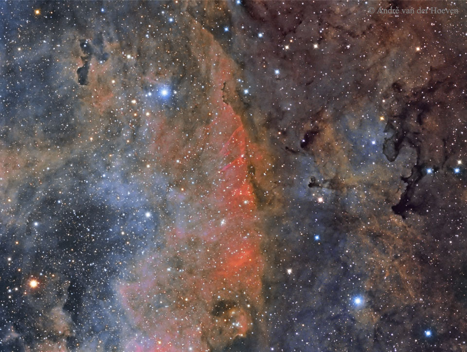 barnard344_vanderHoeven_960.jpg
