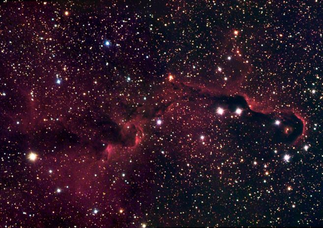 ic1396ele_gendler.jpg