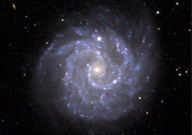 ngc3184_kelly.jpg