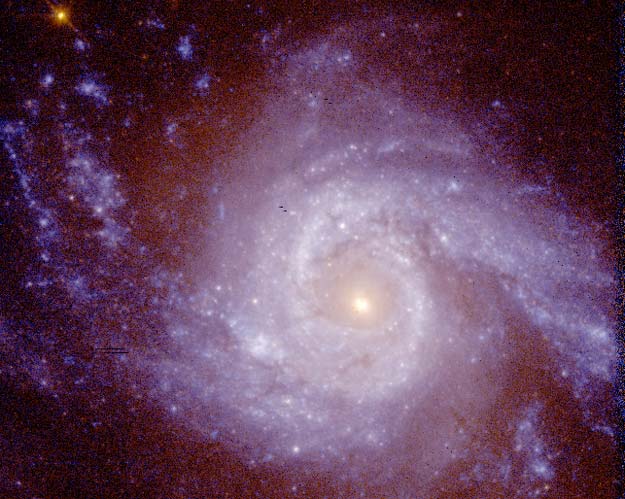 ngc3310_hst.jpg