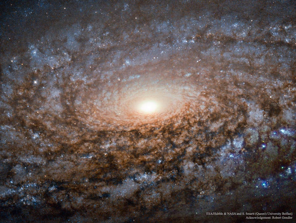 ngc3521_hstGendler_960.jpg