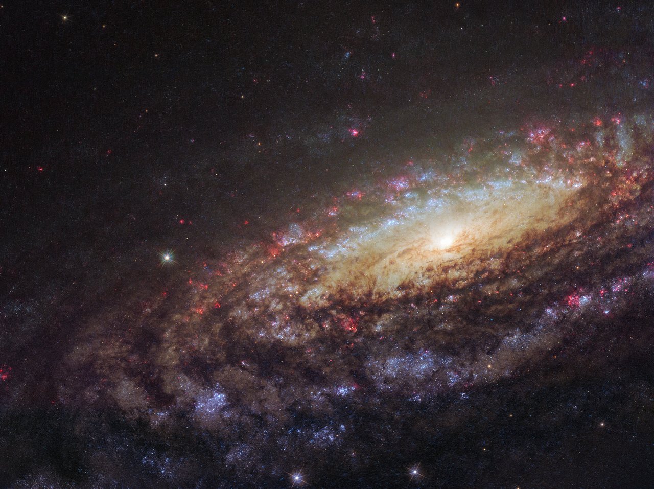 potw1805b_ngc7331.jpg