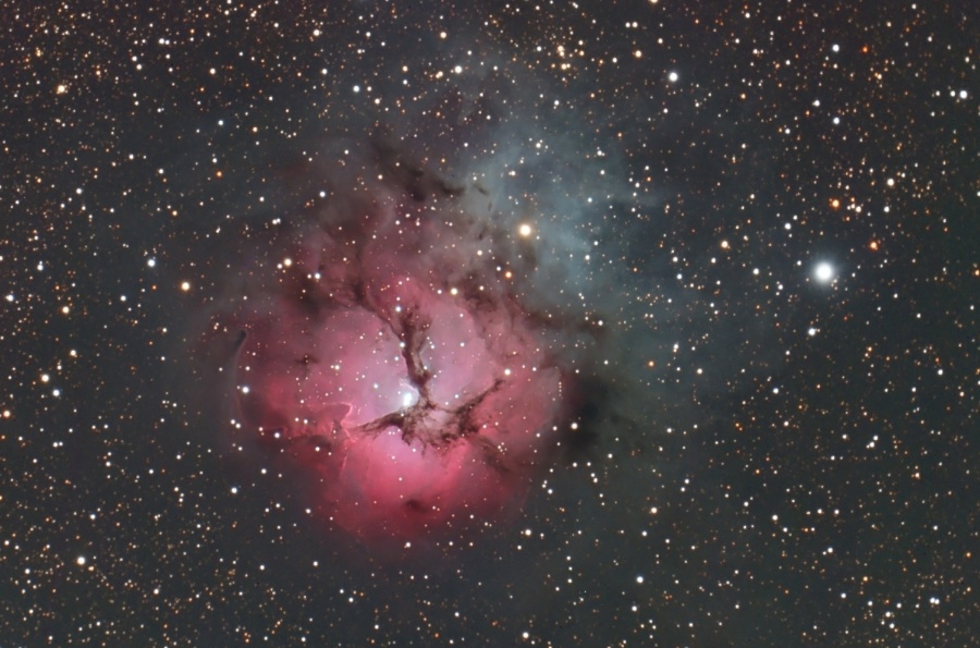 trifid_henry_c900.jpg